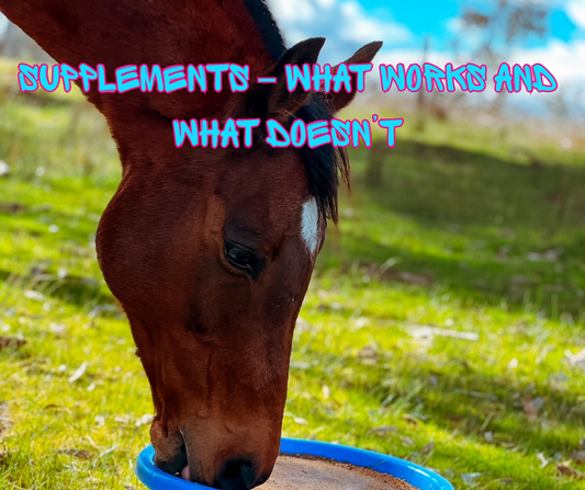 Barrel Racing Supplements – What Works and What Doesn’t