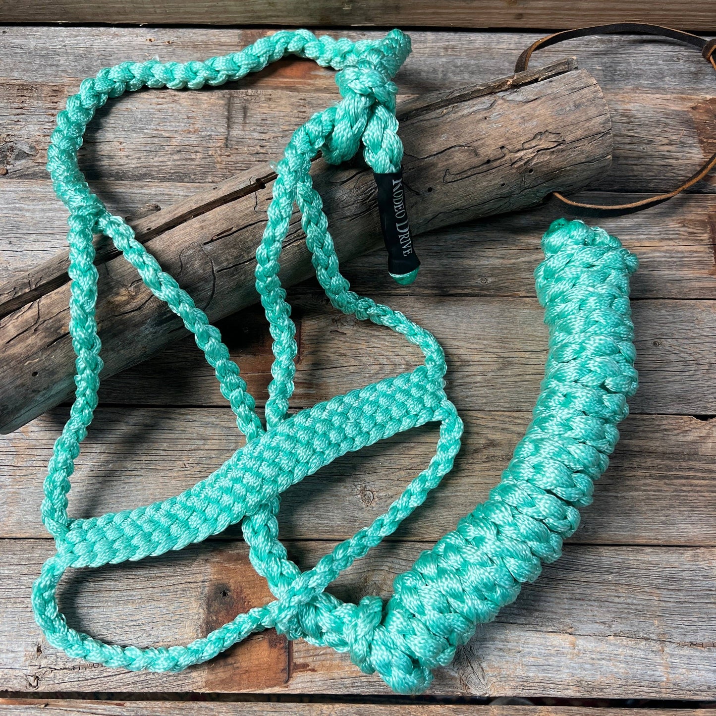 Turquoise mule tape halter with lead rope on a wooden surface