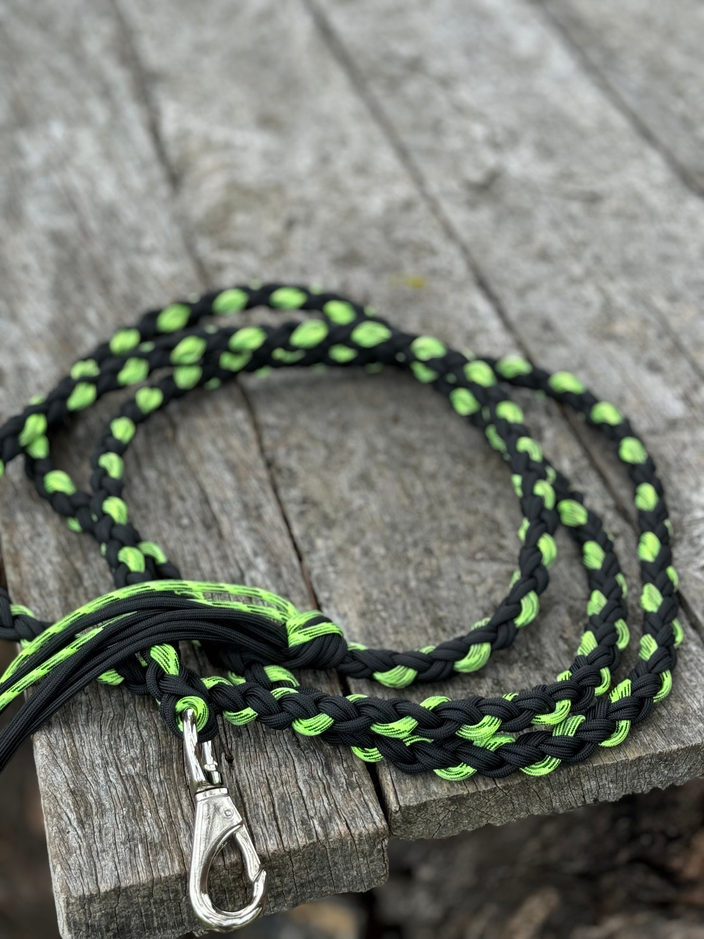 Radioactive Halter and lead rope