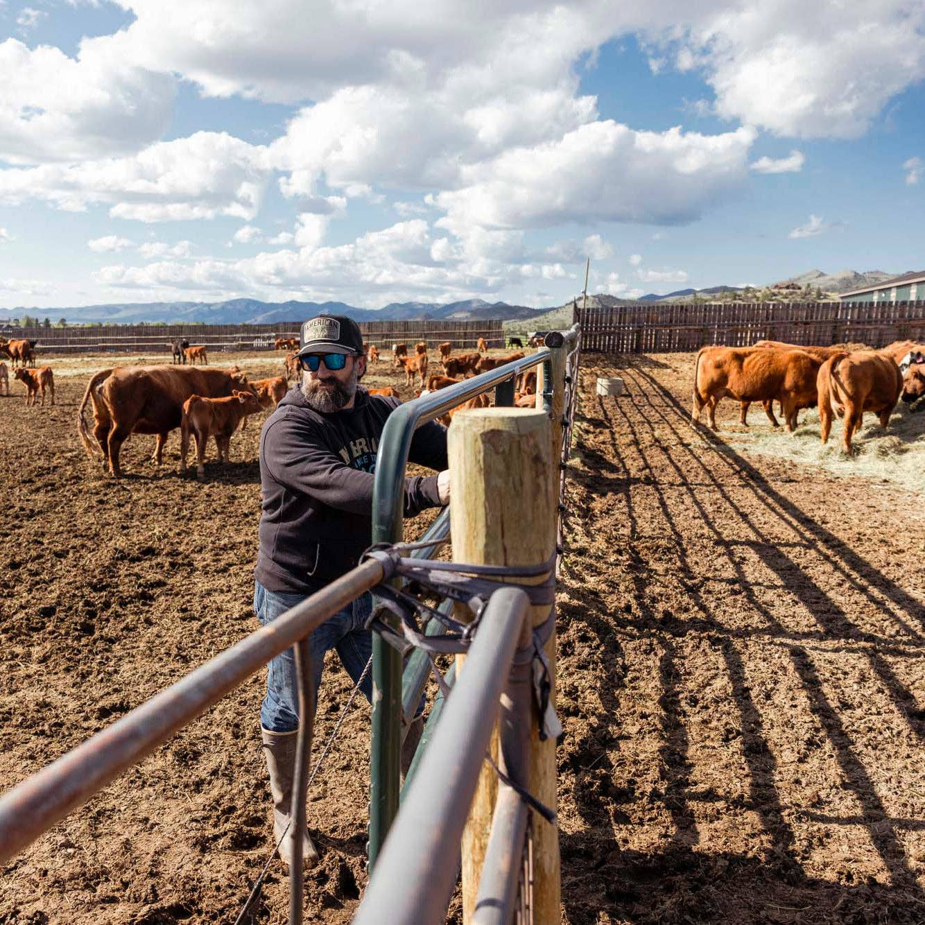 Man standing behind a gate on a farm with cows and mountains in the background