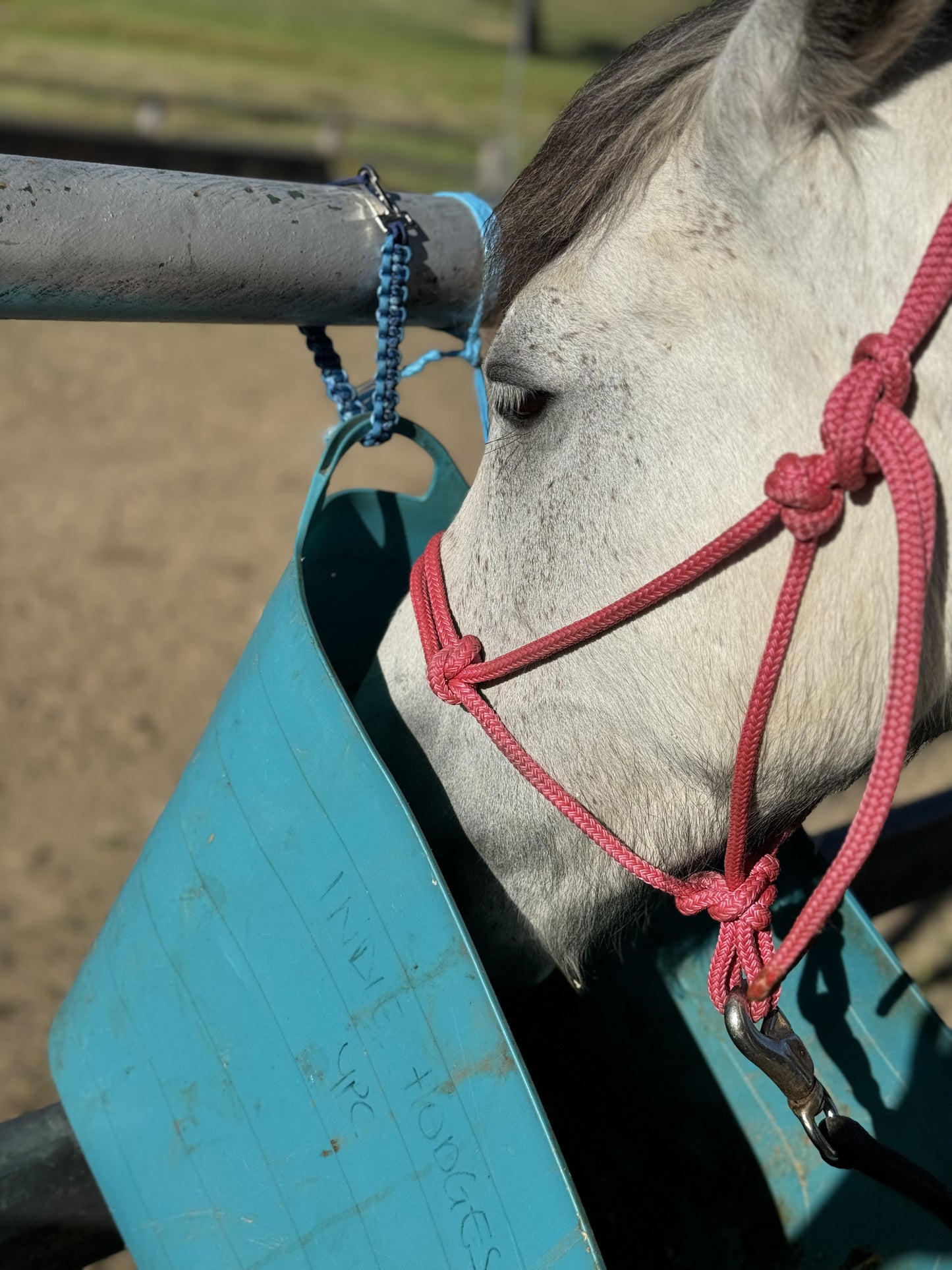 Bucket Straps