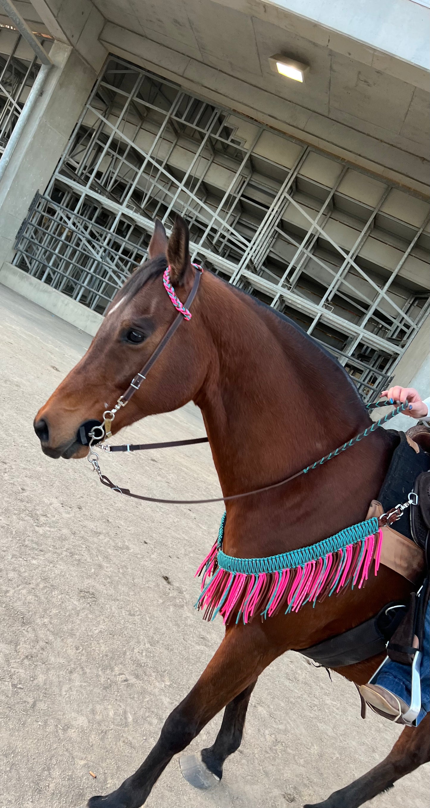 B Brave Hot Pink, Teal & Rust Fringe Breast Collar – Hand Braided by Bar3H by bar3H Equine – Custom Western Tack Australia