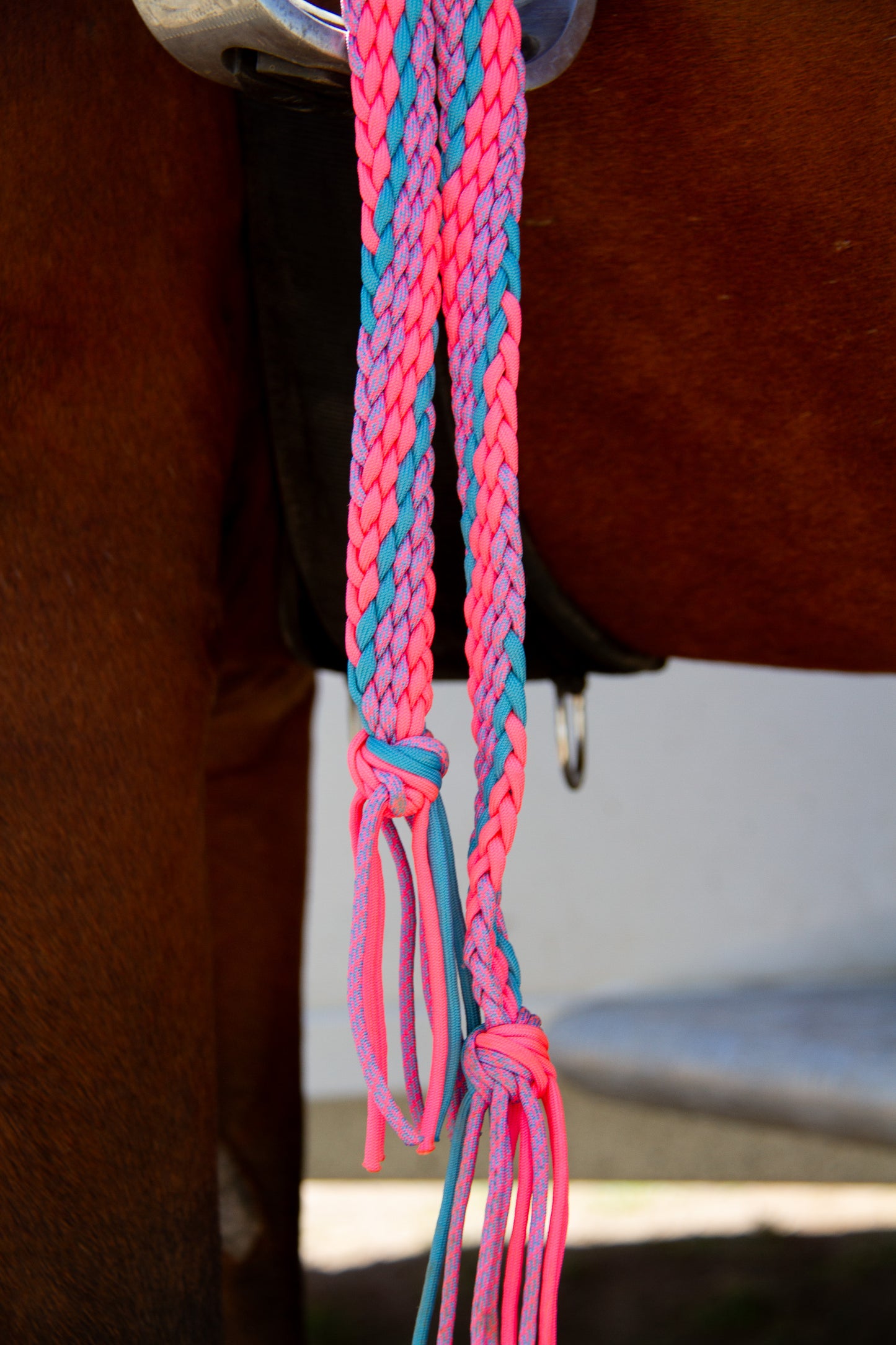 Close-up of pink and blue braided reins on a horse's bridle.