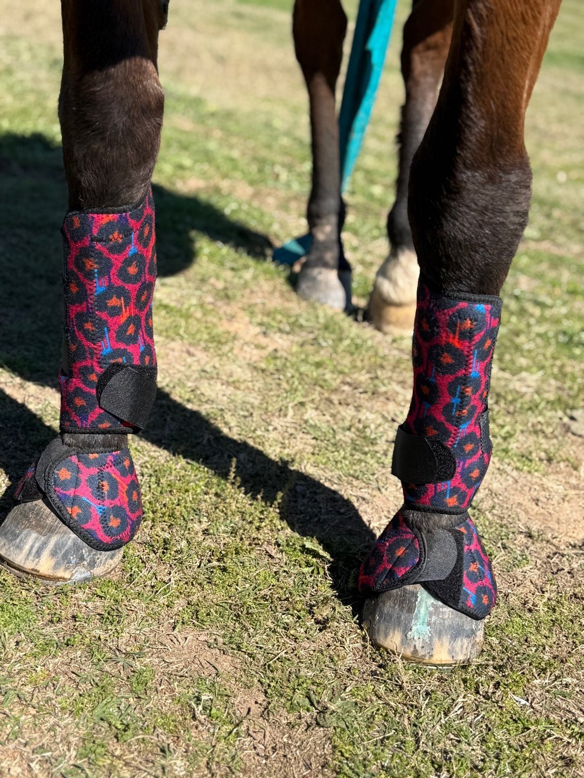 Leopard Print Splint Boots – Breathable Horse Leg Protection by bar3H Equine – Custom Western Tack Australia