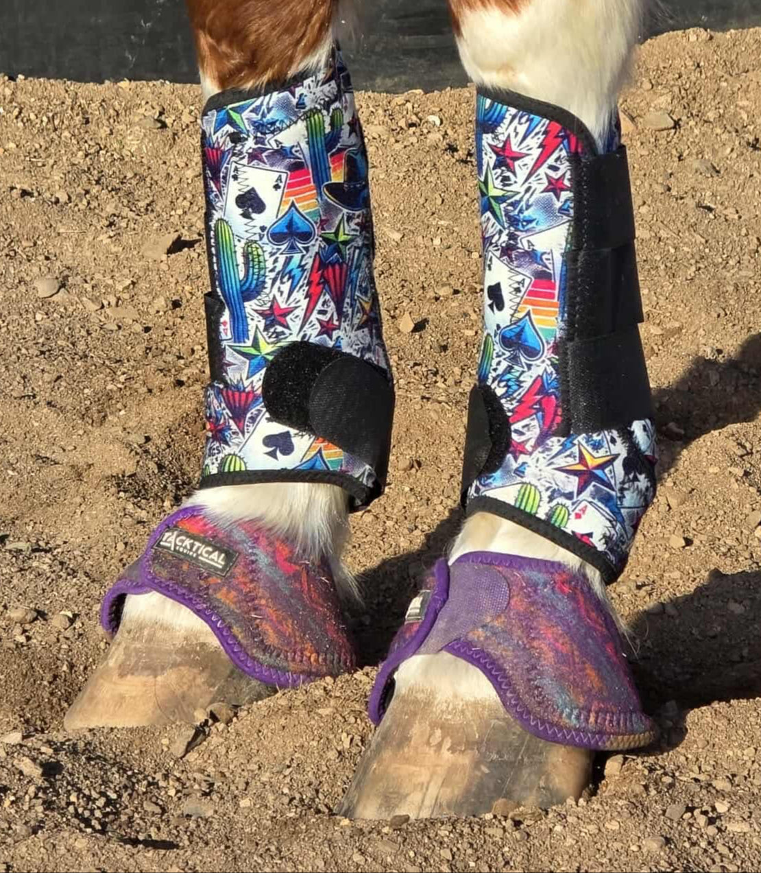 High Stakes protective horse boots with bold casino-themed print and black trim, shown on a chestnut horse wearing purple bell boots in a sandy arena.