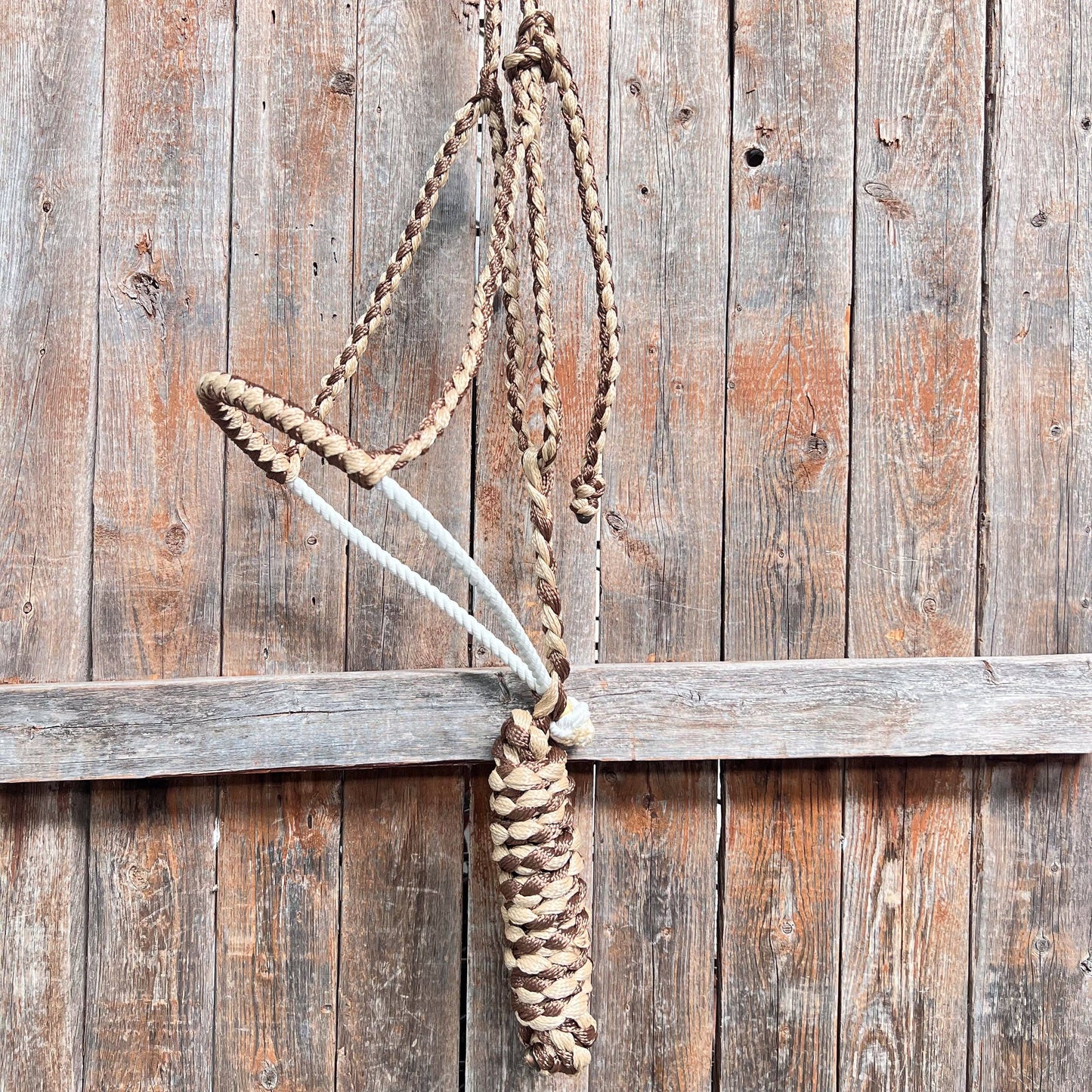 Mule Tape Halter with Lariat Noseband & 10ft Lead