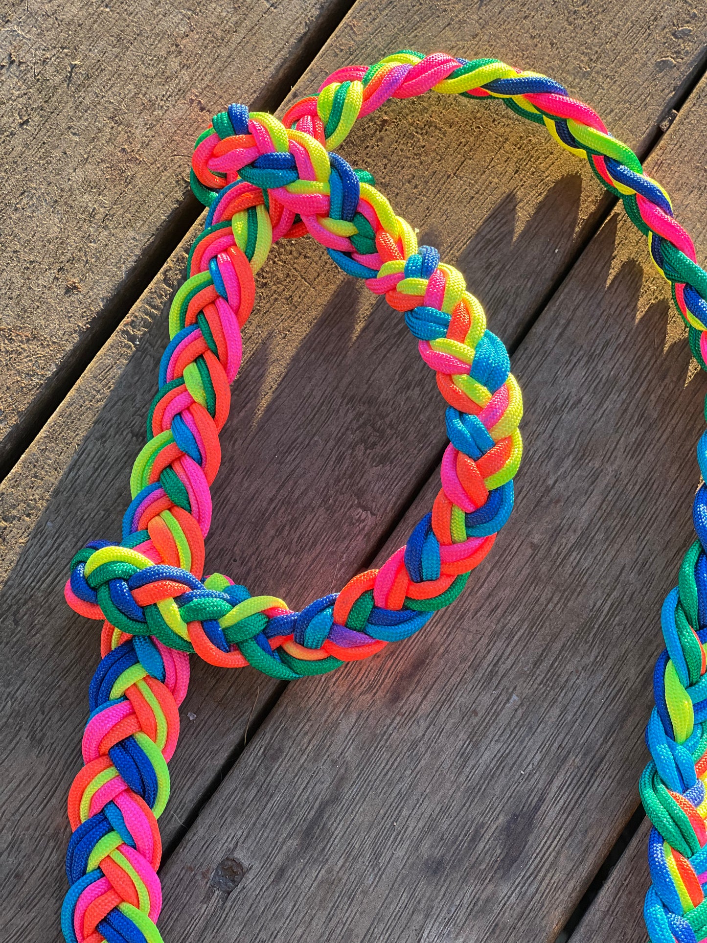 One Ear Bridle - Rainbow