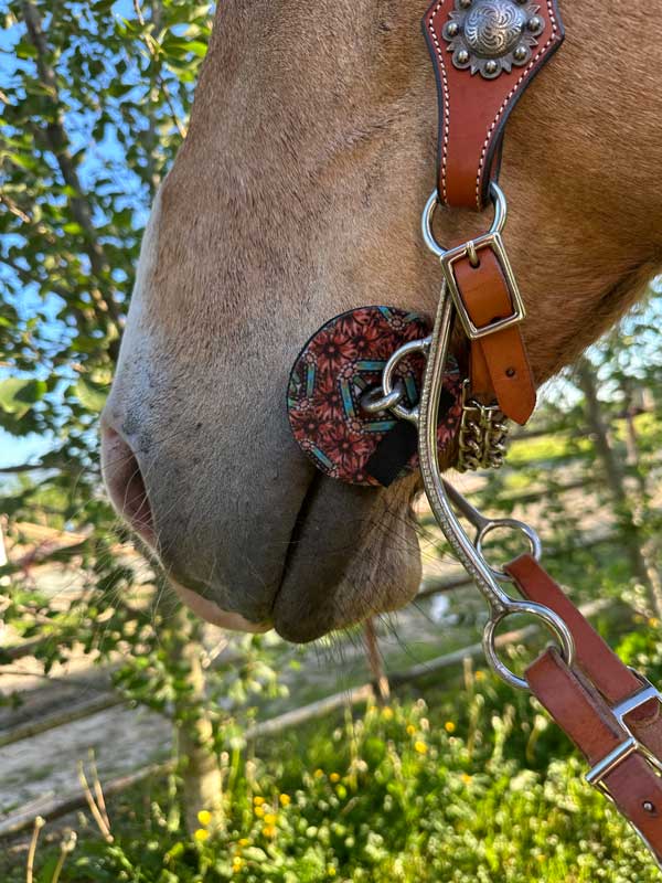 Neoprene Bit Guards – Comfort, Protection & Colours Galore! by bar3H Equine – Custom Western Tack Australia