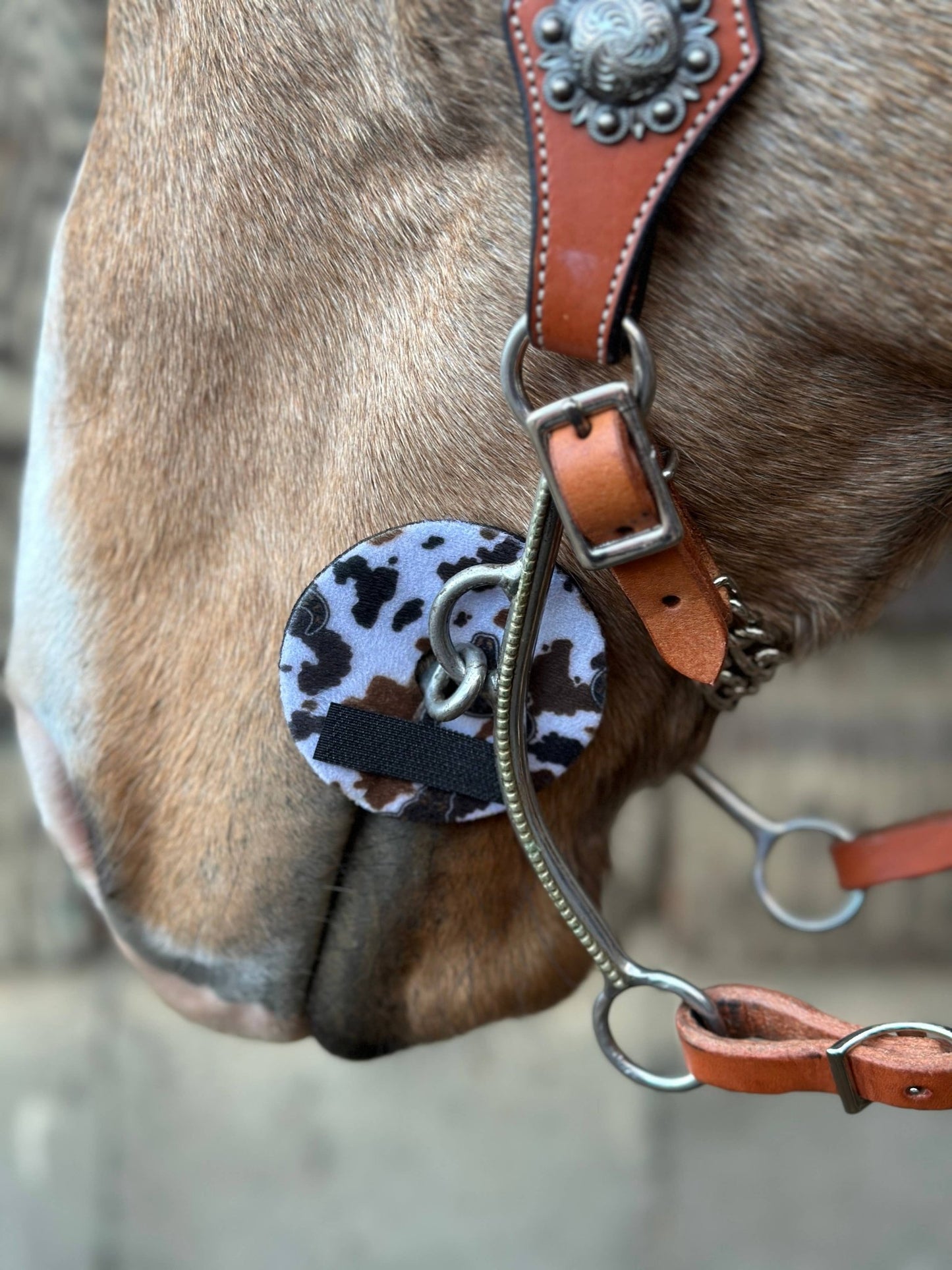 Neoprene Bit Guards – Comfort, Protection & Colours Galore! by bar3H Equine – Custom Western Tack Australia