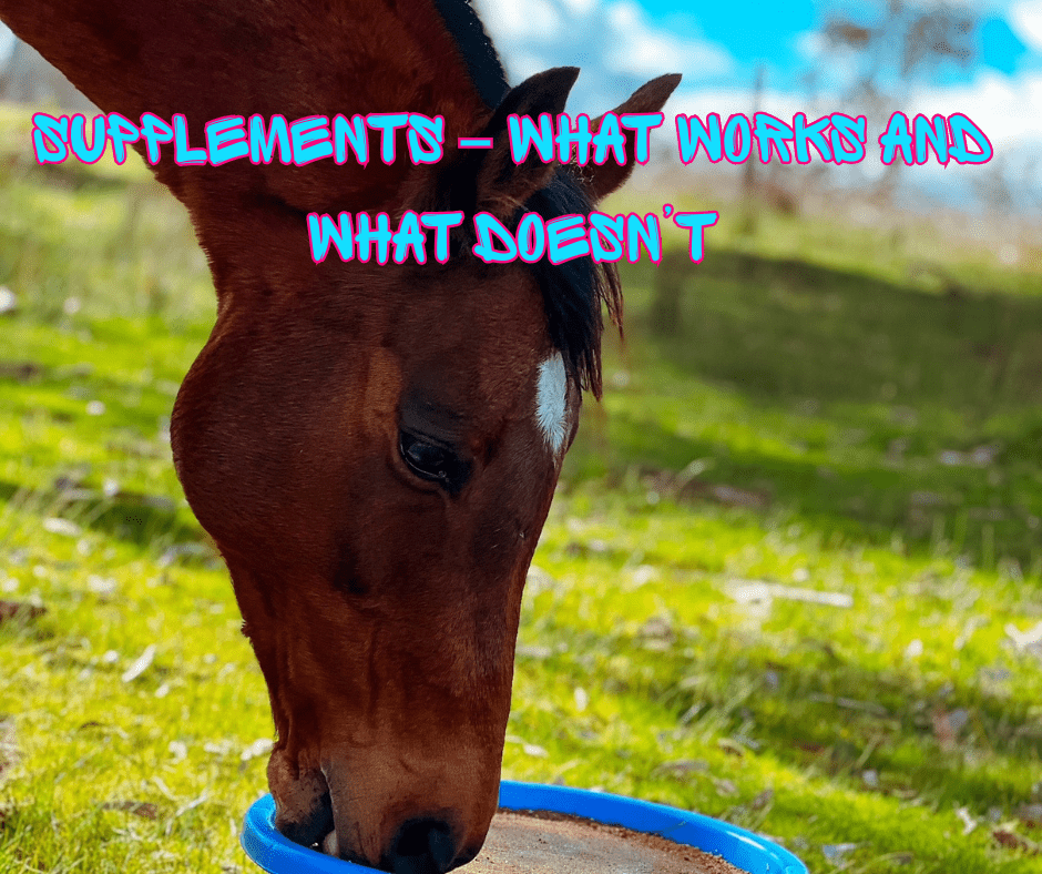Barrel Racing Supplements – What Works and What Doesn’t - bar3H Equine