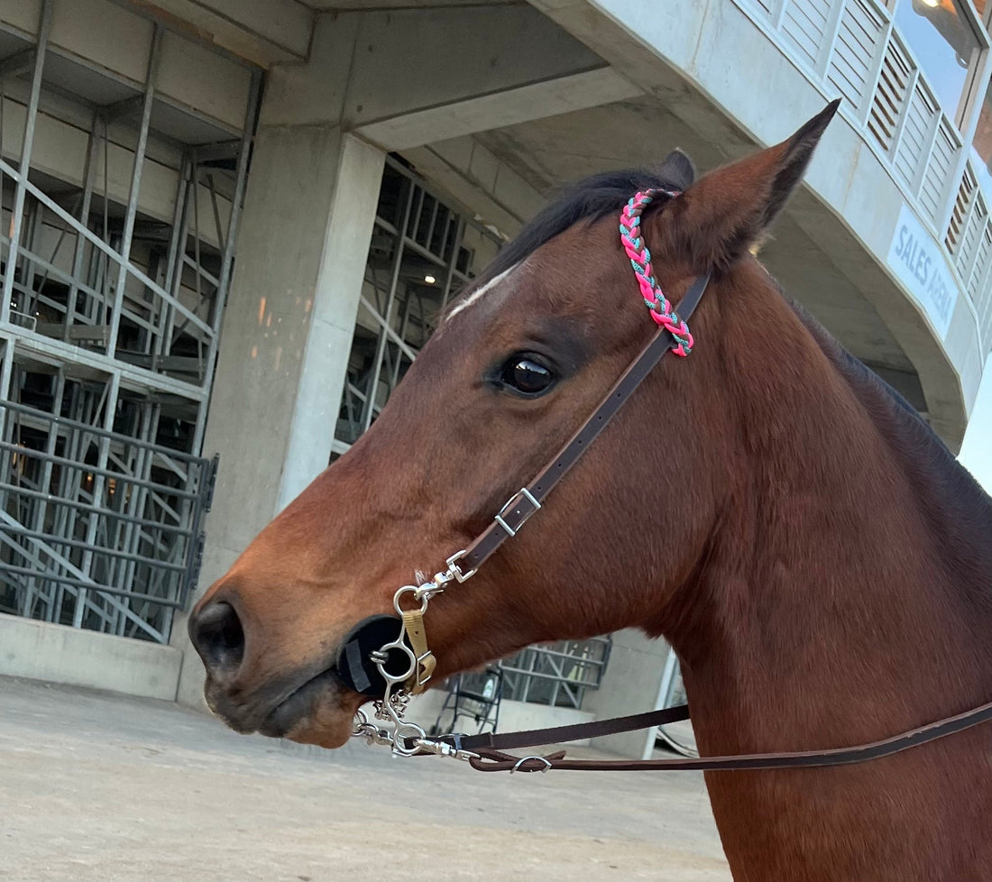 Benefits of Using Quick Switch Bridles for Barrel Racing - bar3H Equine