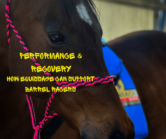 How Equissage Can Support Barrel Racers – Performance & Recovery - bar3H Equine