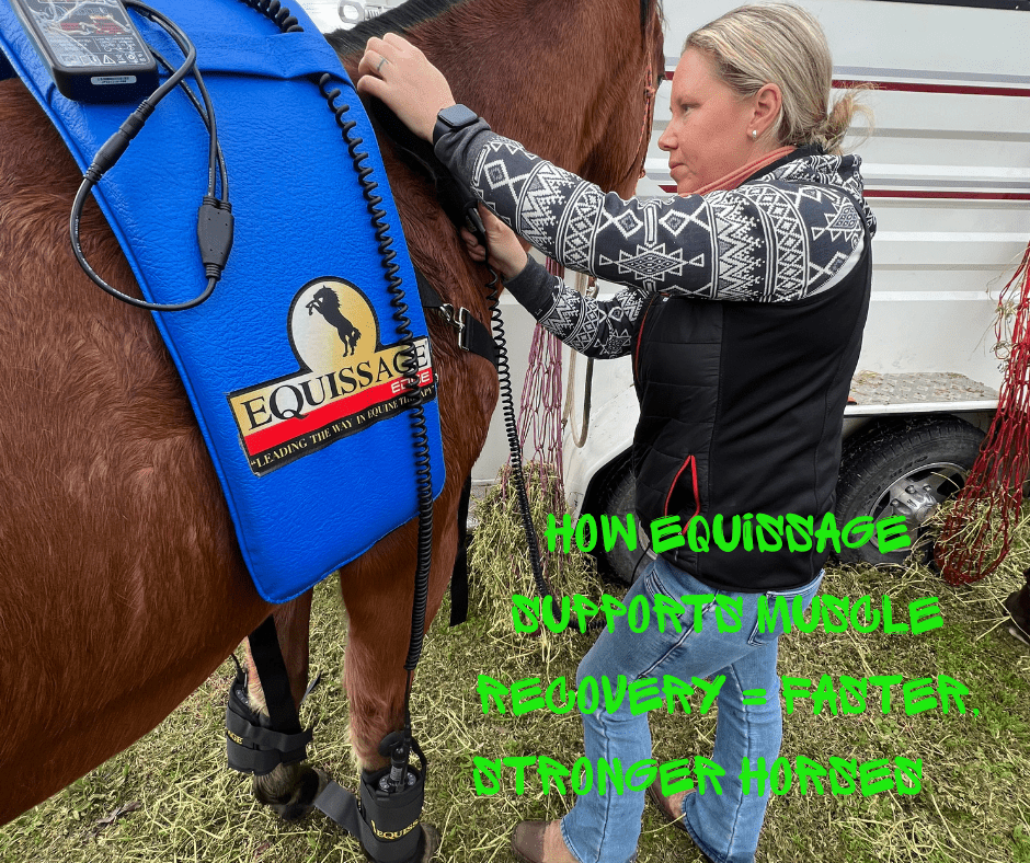 How Equissage Improves Muscle Recovery After Intense Training - bar3H Equine