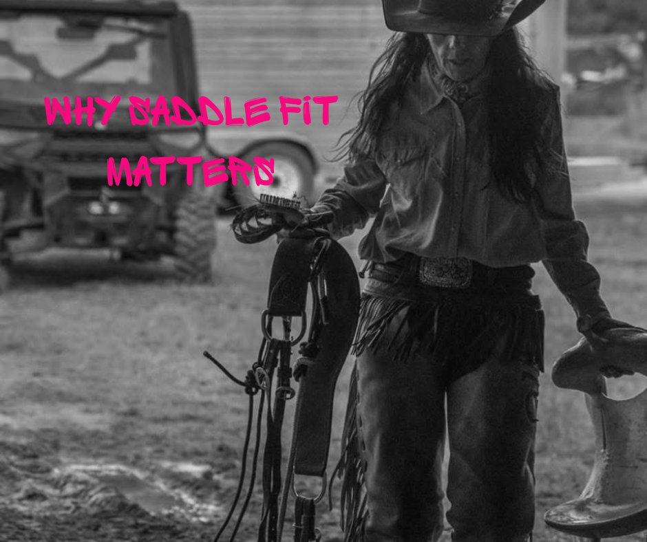 How to Measure Your Horse for the Perfect Saddle Fit - bar3H Equine