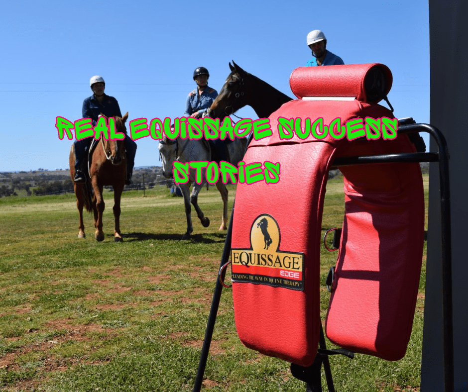 Real Stories – How Equissage Made a Difference for Horses - bar3H Equine