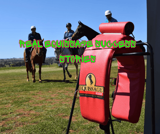 Real Stories – How Equissage Made a Difference for Horses - bar3H Equine