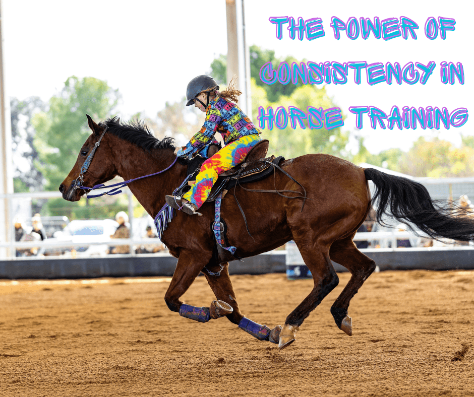 The Power of Consistency in Horse Training - bar3H Equine