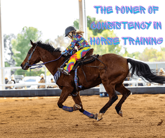 The Power of Consistency in Horse Training - bar3H Equine