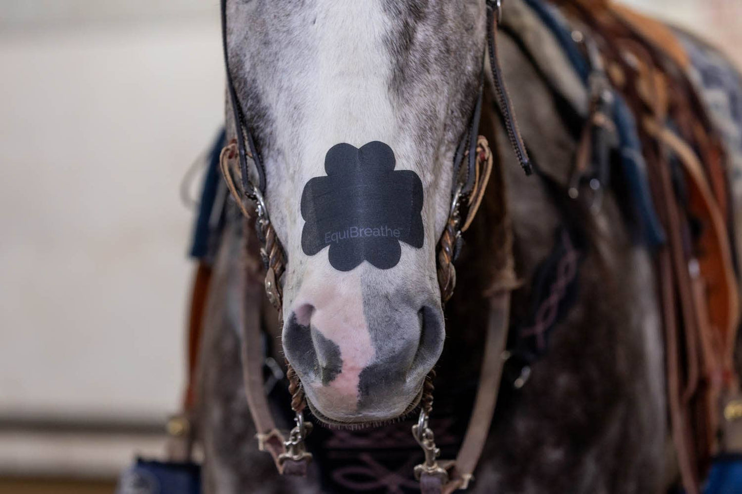 EquiBreathe™ Equine Nasal Patch - Black