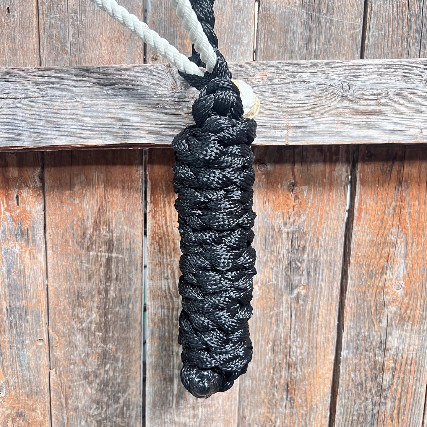 black mule tape lead rope attached to a white lariat noseband