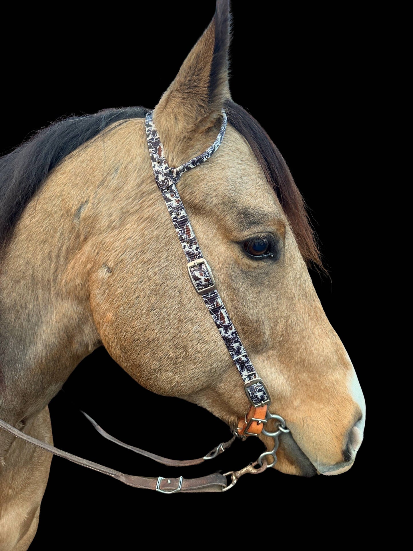 Nylon One Ear Bridle| 3/4 inch