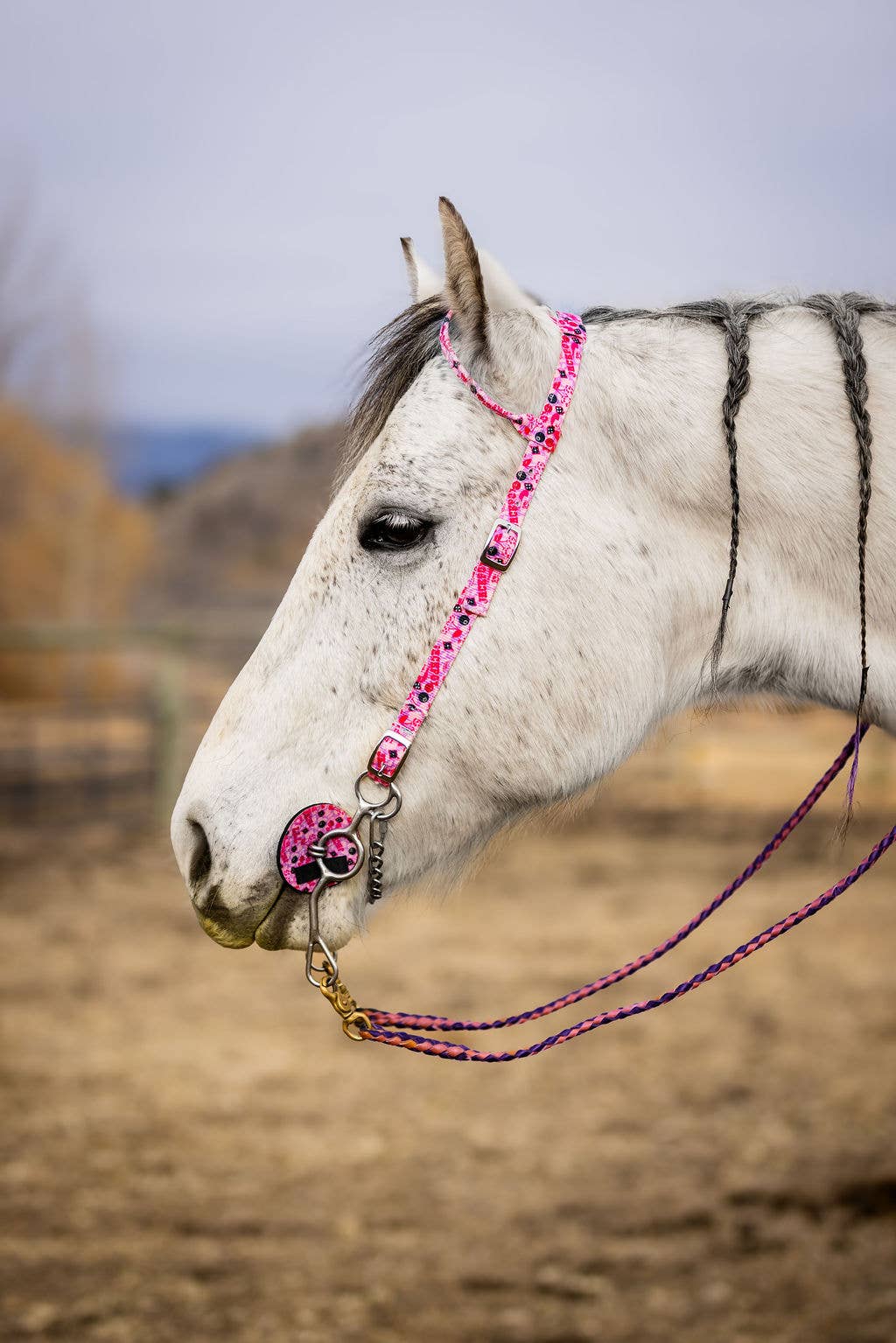Nylon One Ear Bridle| 3/4 inch