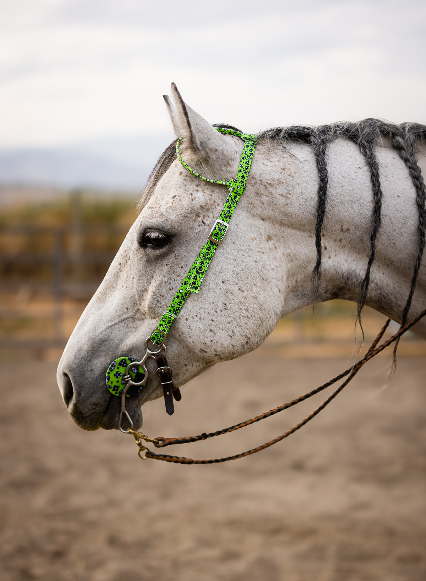 Nylon One Ear Bridle| 3/4 inch