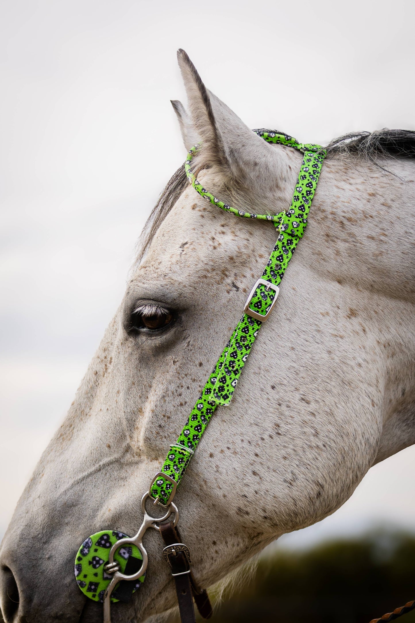 Nylon One Ear Bridle| 3/4 inch