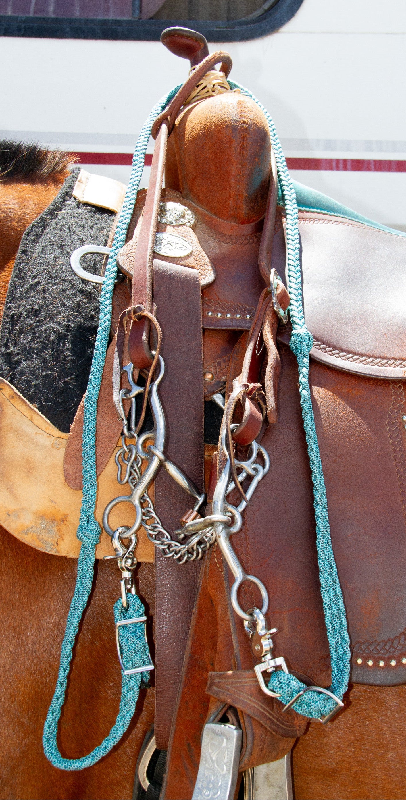 Close-up of a horse saddle with reins and a bridle on a horse, with a vehicle in the background.