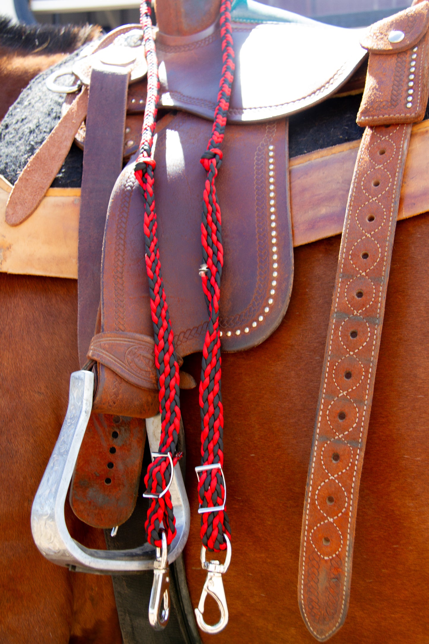 Close-up of a horse saddle with a red and black bridle