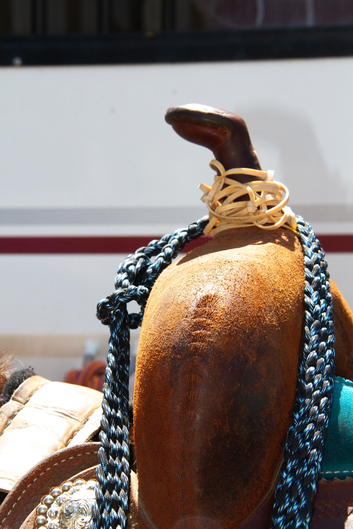 Close-up of a horse's girth with a rope and decorative elements, with a blurred background.