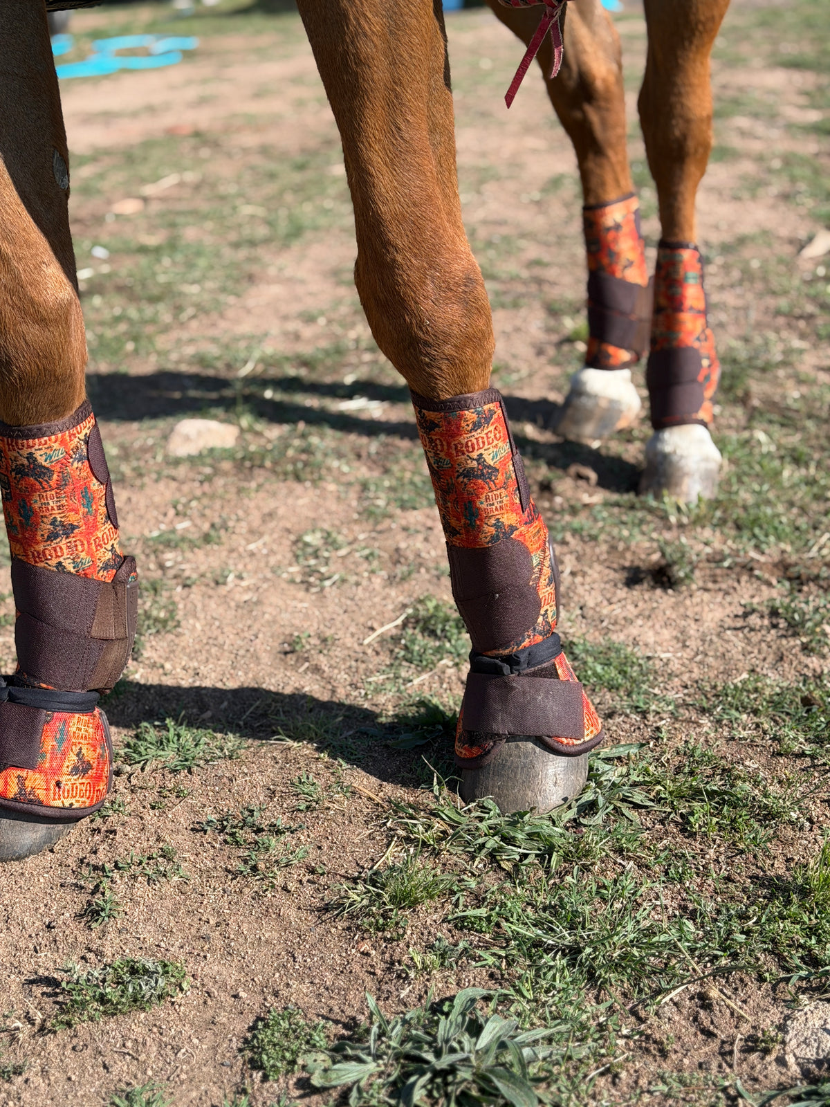 8 Seconds Rubber Sport Boots | Medium Horse Boots