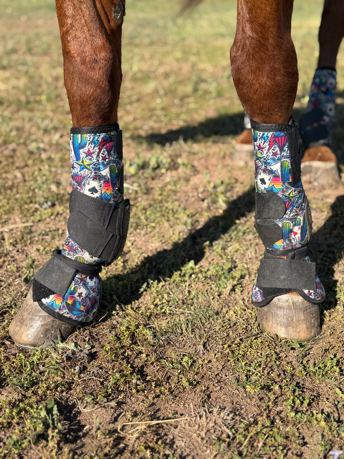 High Stakes Rubber Sport Boots | Medium Horse Boots