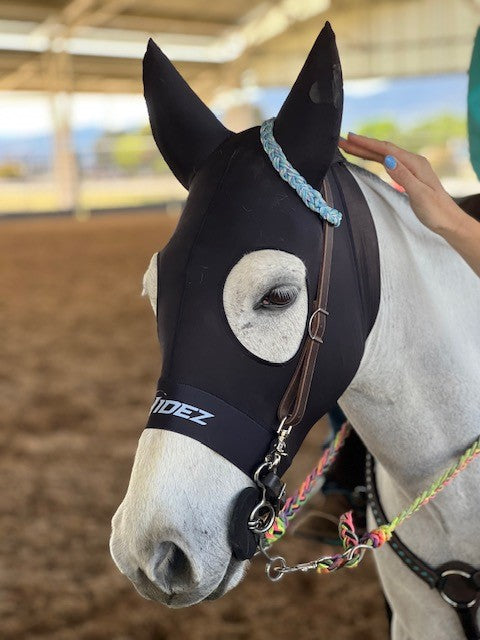 Western Earband Bridle - Layne