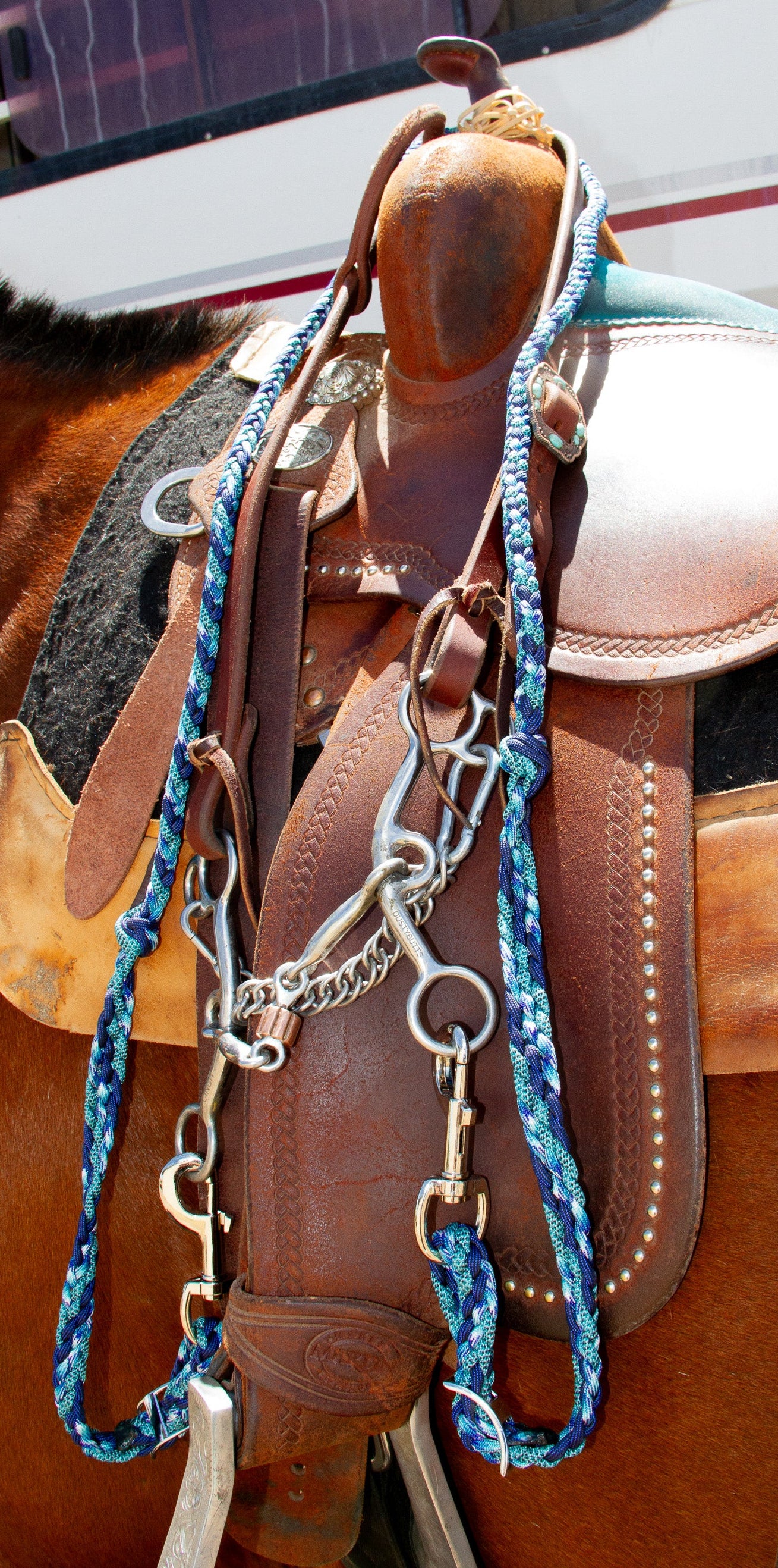 Close-up of a horse saddle with a bridle on a horse, with a blurred background.