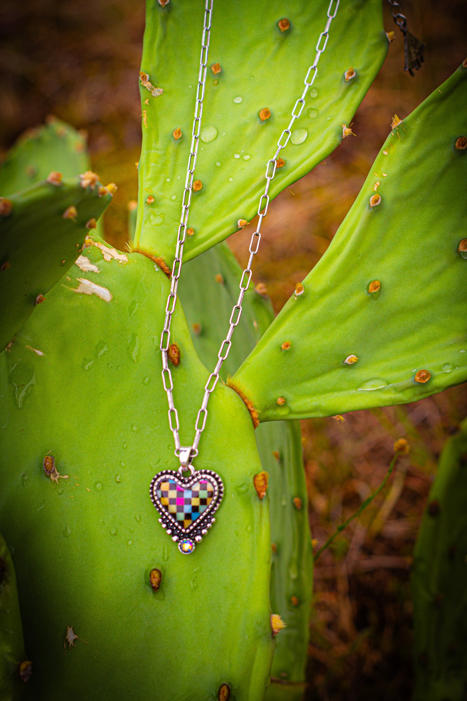 Necklace with a heart-shaped multicolored pendant on a green cactus leaf