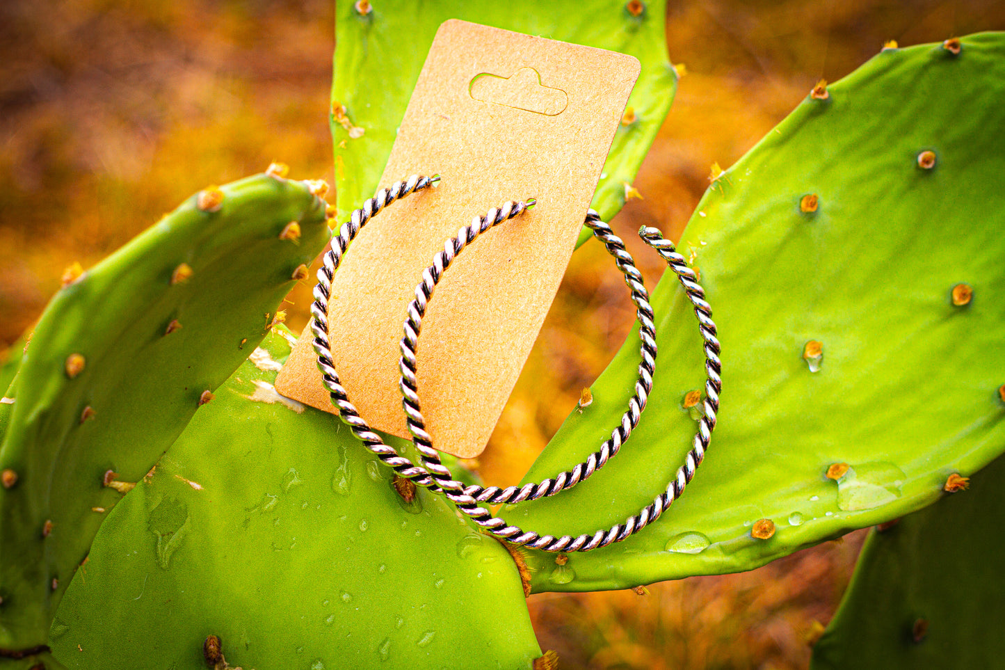 Pair of hoop earrings on a cactus leaf with a cardboard display card.