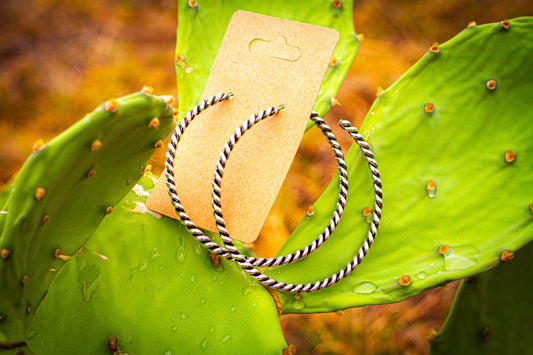 Pair of hoop earrings on a cactus leaf with a cardboard display card.