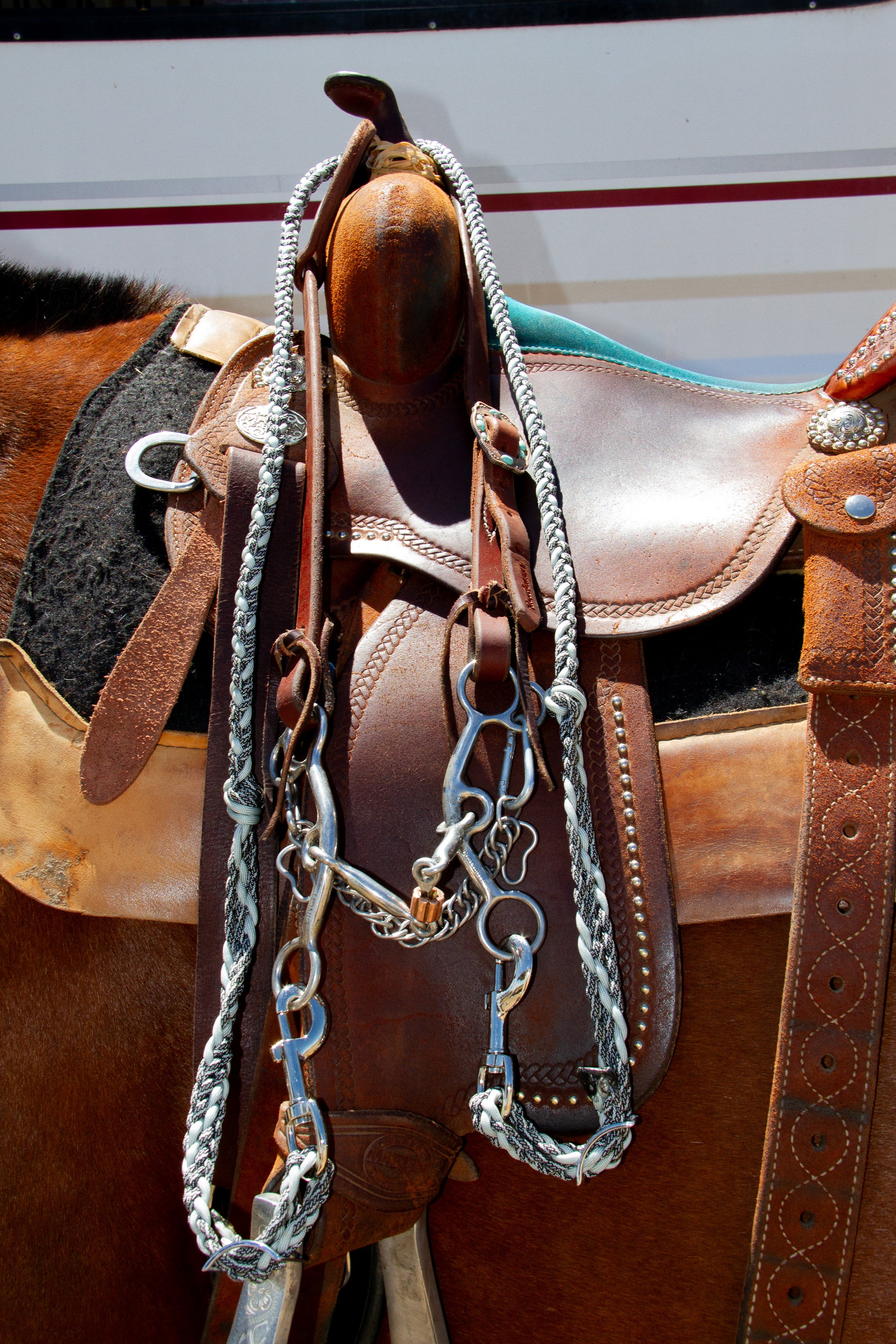 Brown leather horse saddle with reins on a horse, with a blurred background