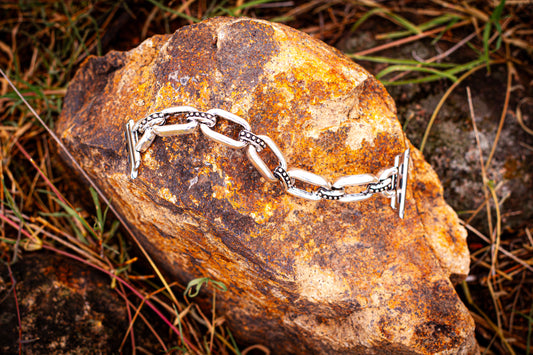 Silver apple watch bracelet band on a textured rock with natural background