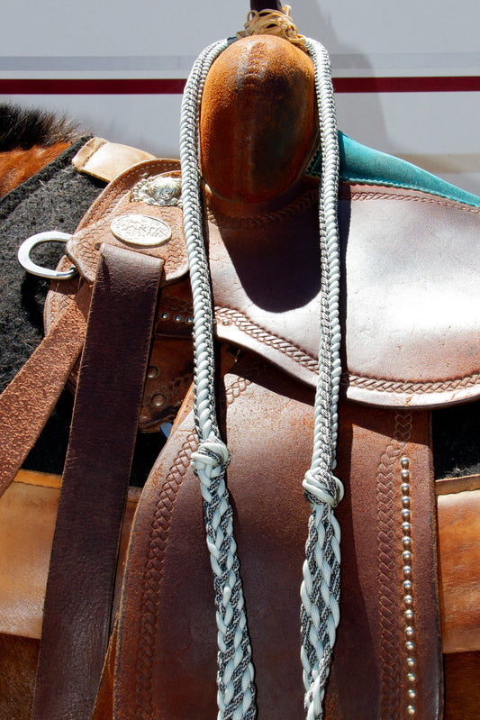 Close-up of a brown leather saddle with silver and black braided reins on a horse, with a blurred background.