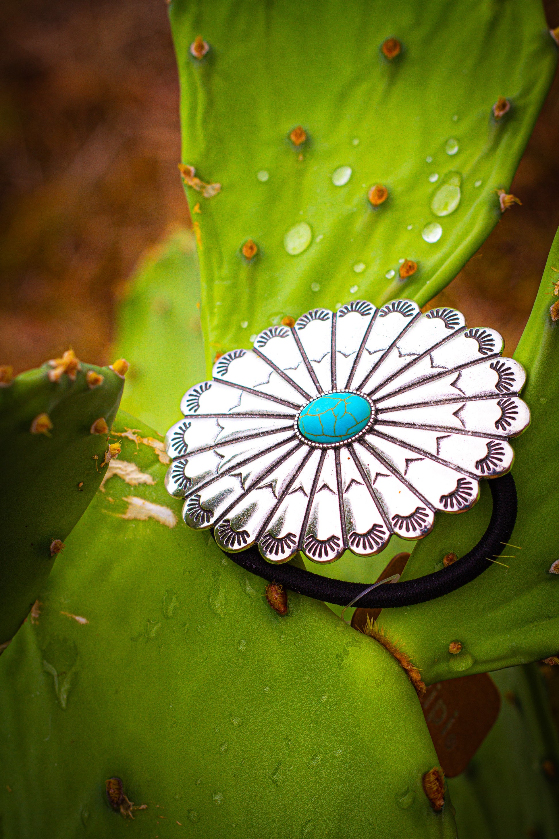 Silver concho with turquoise stone hair tie on a cactus plant