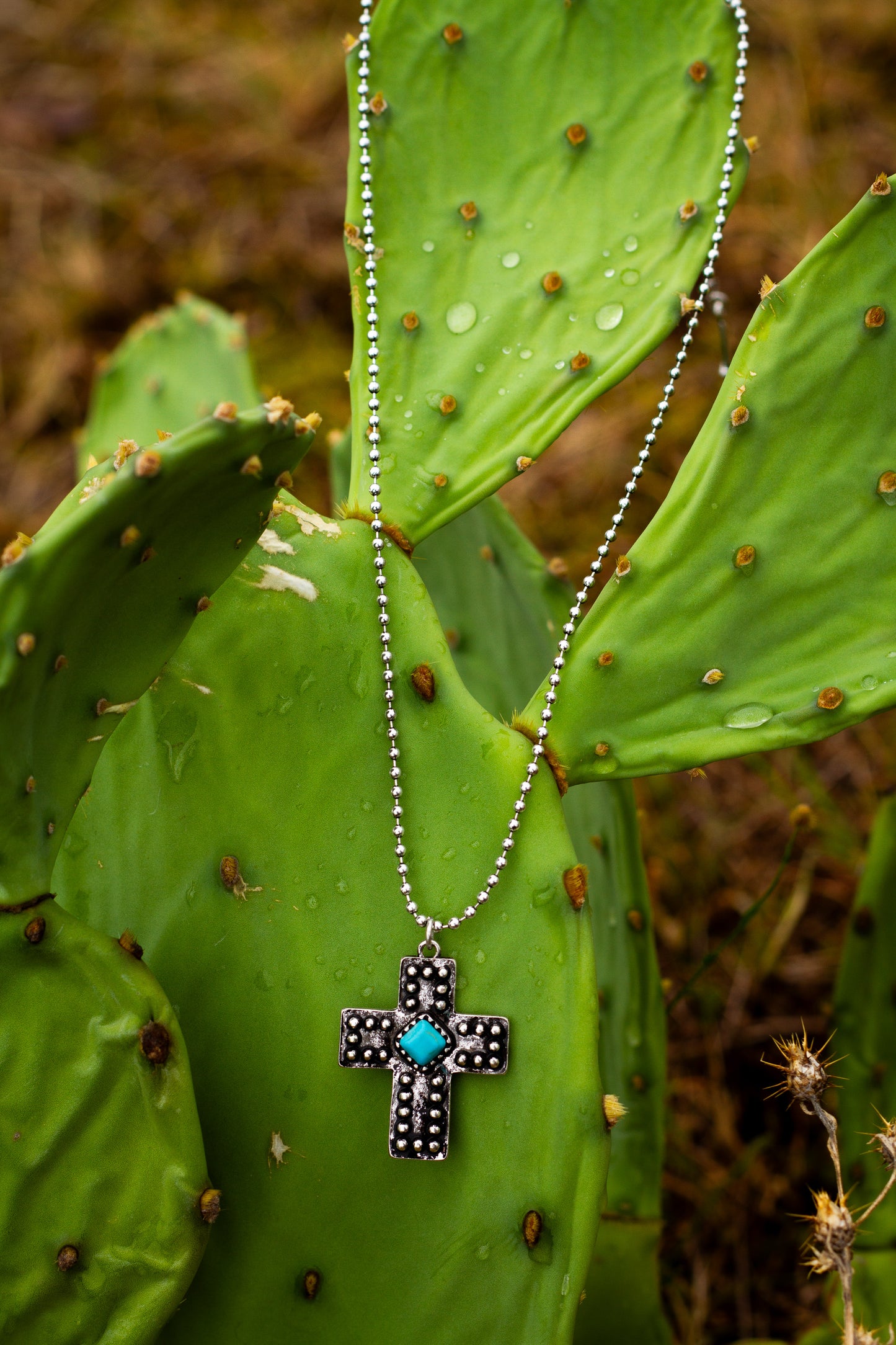 Necklace with a cross pendant on a cactus plant