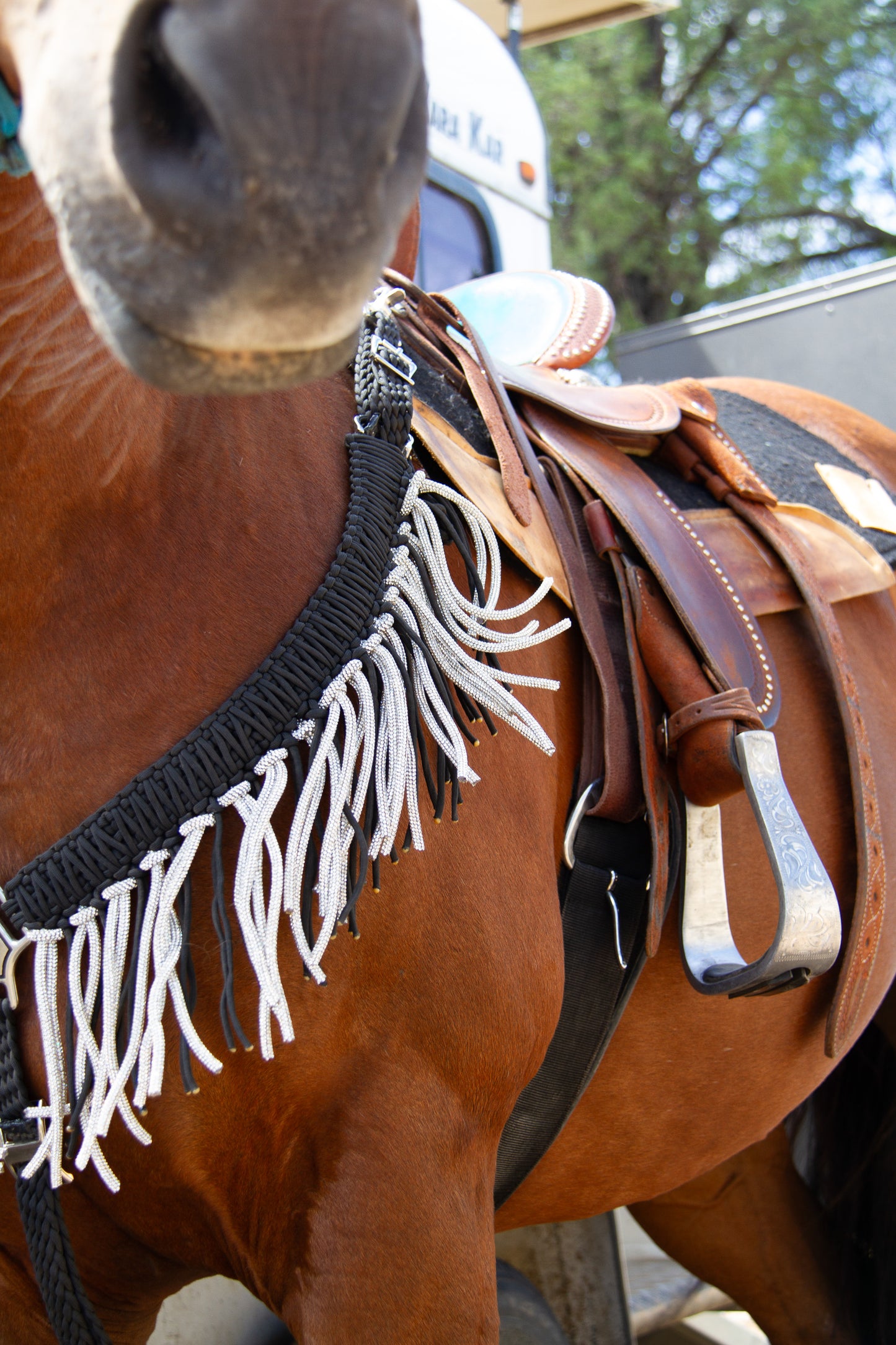 Black & Silver Bling Fringe Breast Collar – Braided Western Breastplate