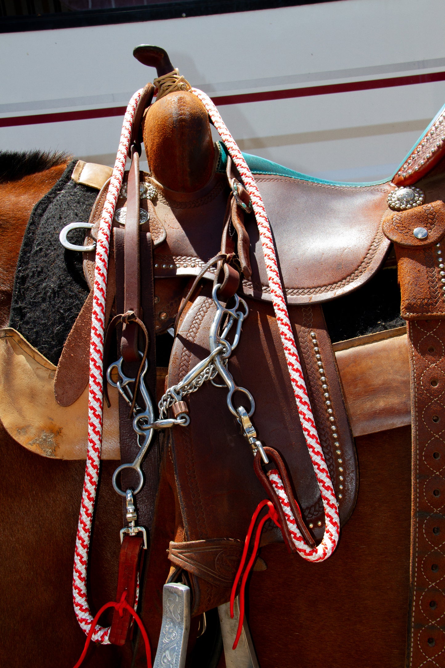 Rope Reins – 7ft with Leather Keepers & Trigger Snap - various colours