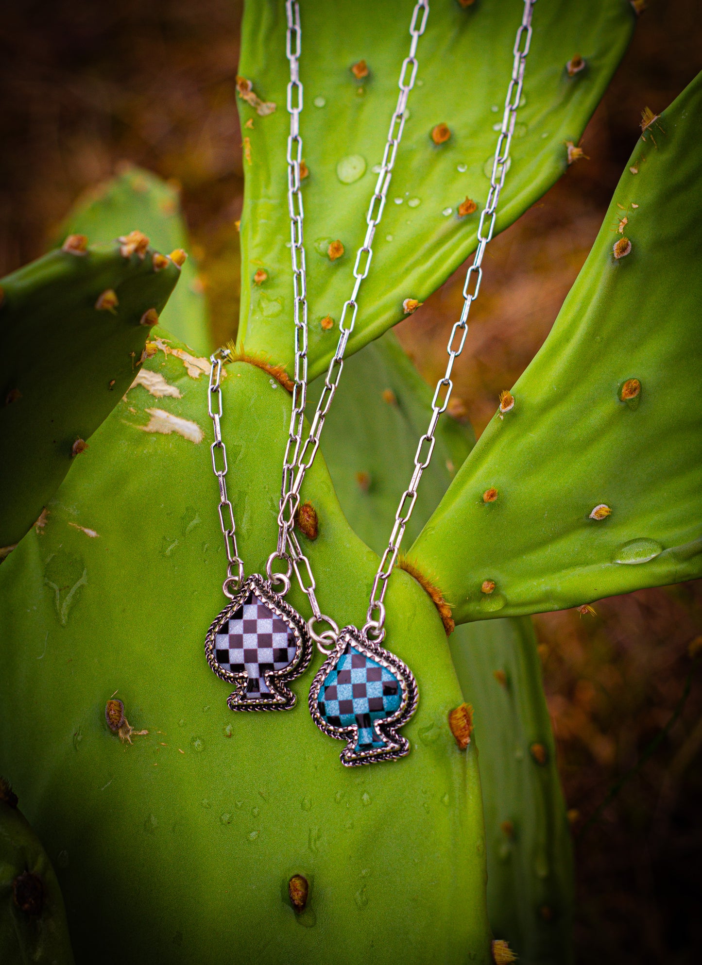 Two silver necklaces with checkered pendant charms on a green cactus leaf.