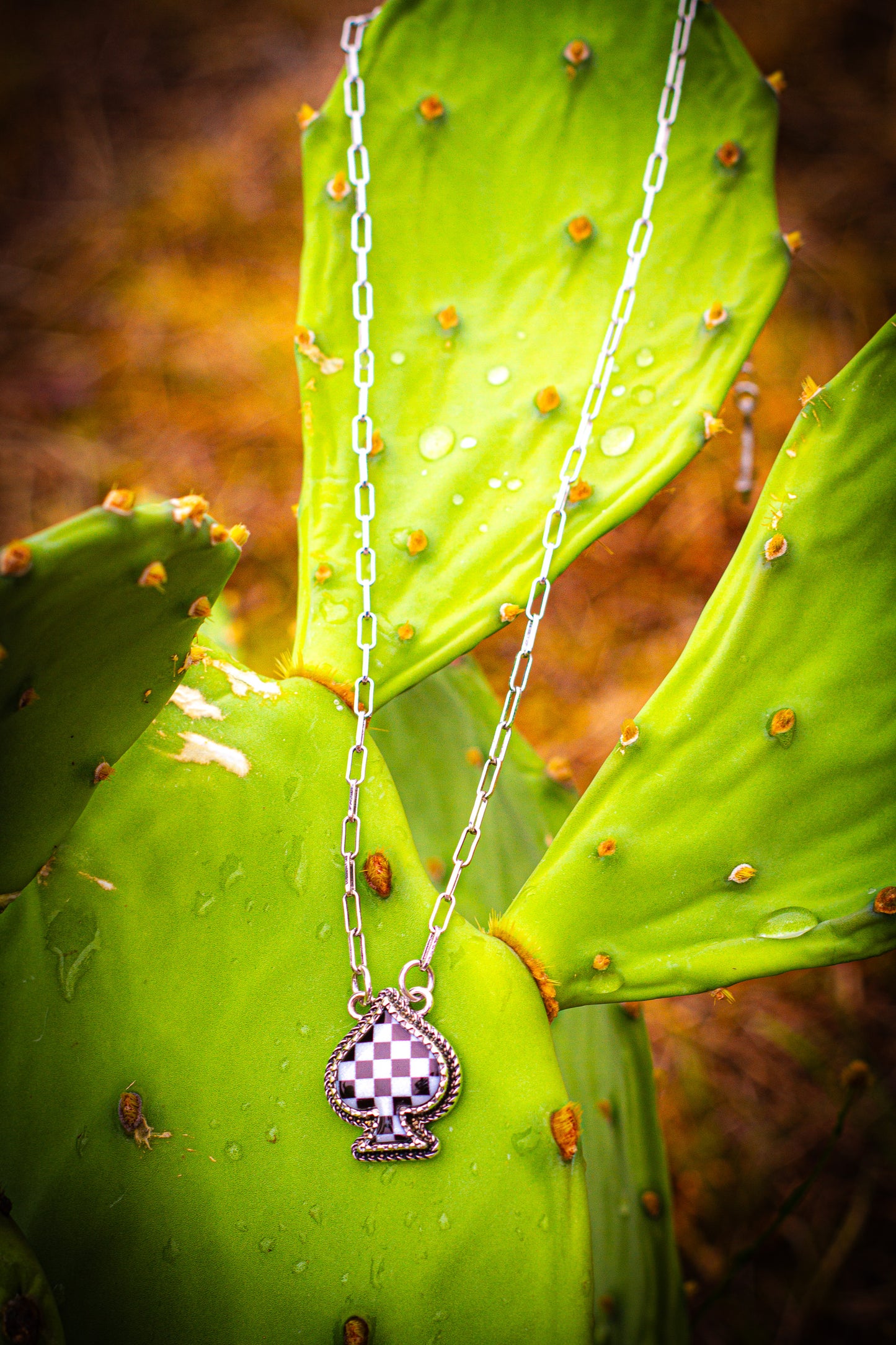Necklace with a checkered pendant on a green cactus plant