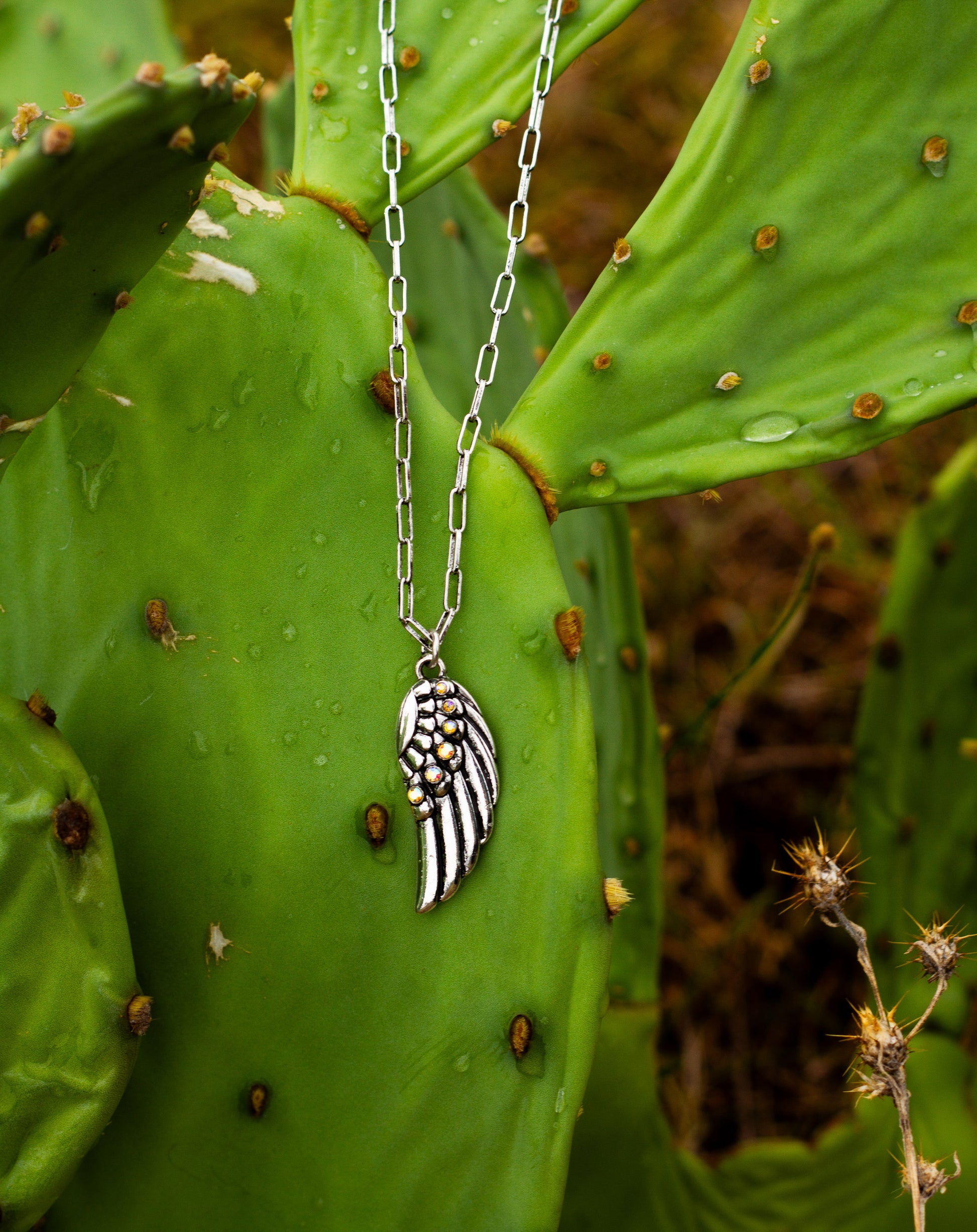 Silver wing-shaped pendant necklace on a chain against a cactus background