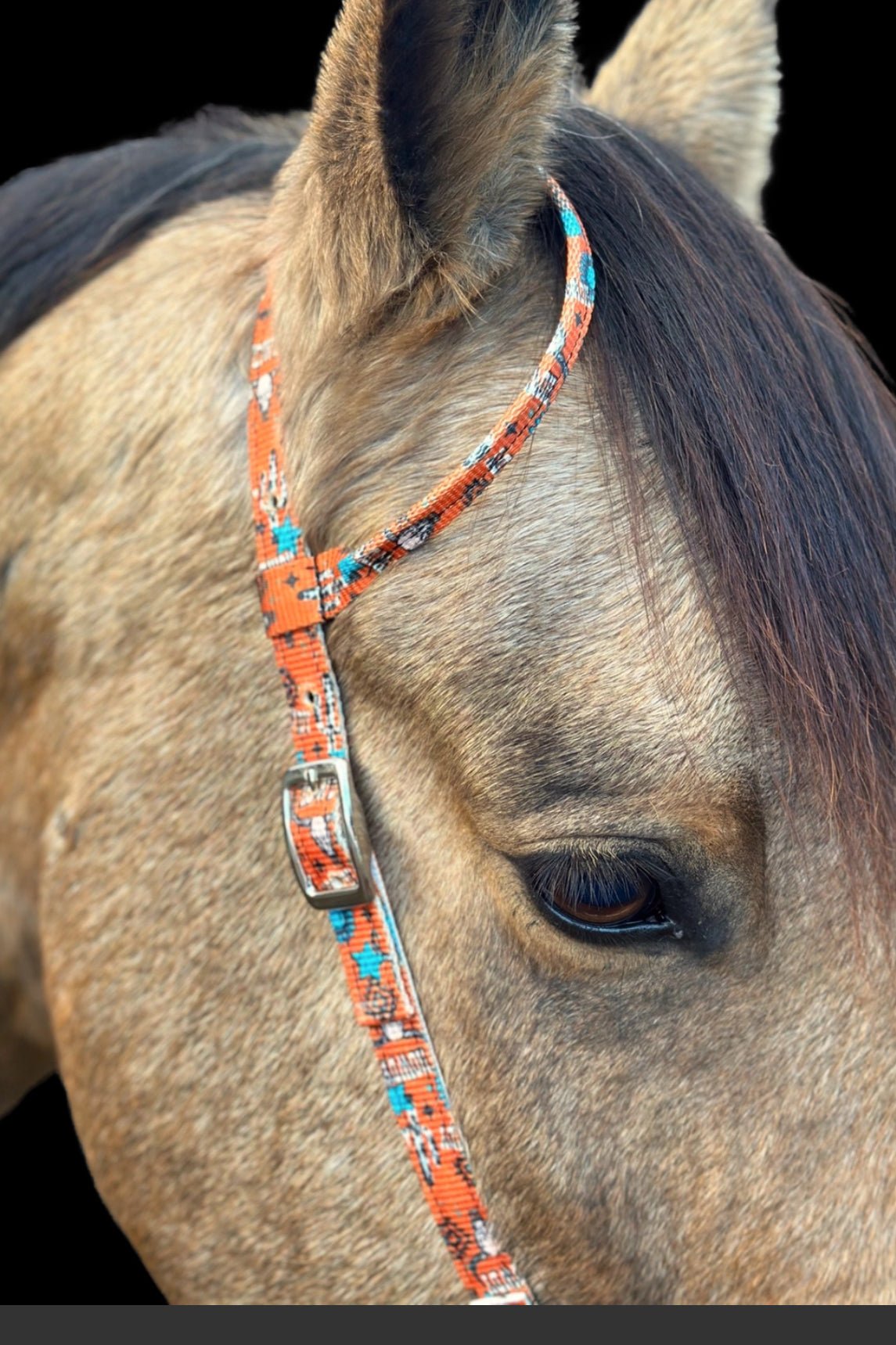 One Ear Nylon Bridle – Durable, Stylish & Built for Performance by bar3H Equine – Custom Western Tack Australia