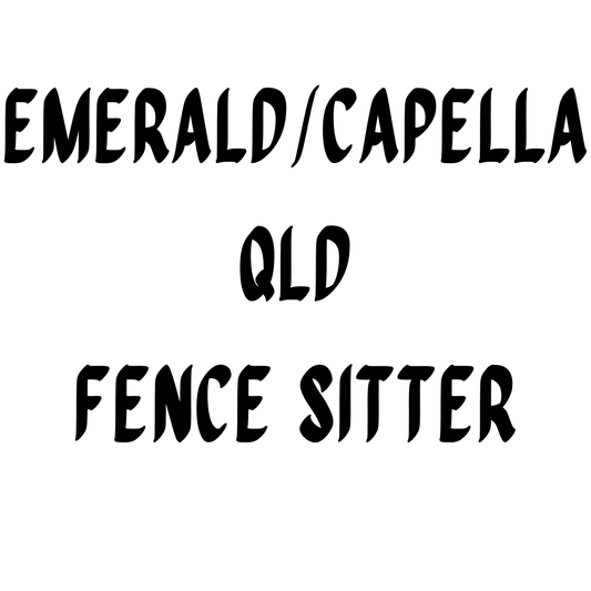 Wendy Winn - Fence Sitter Large Group Clinic - Bridgeman Park Capella QLD by bar3H Equine – Custom Western Tack Australia